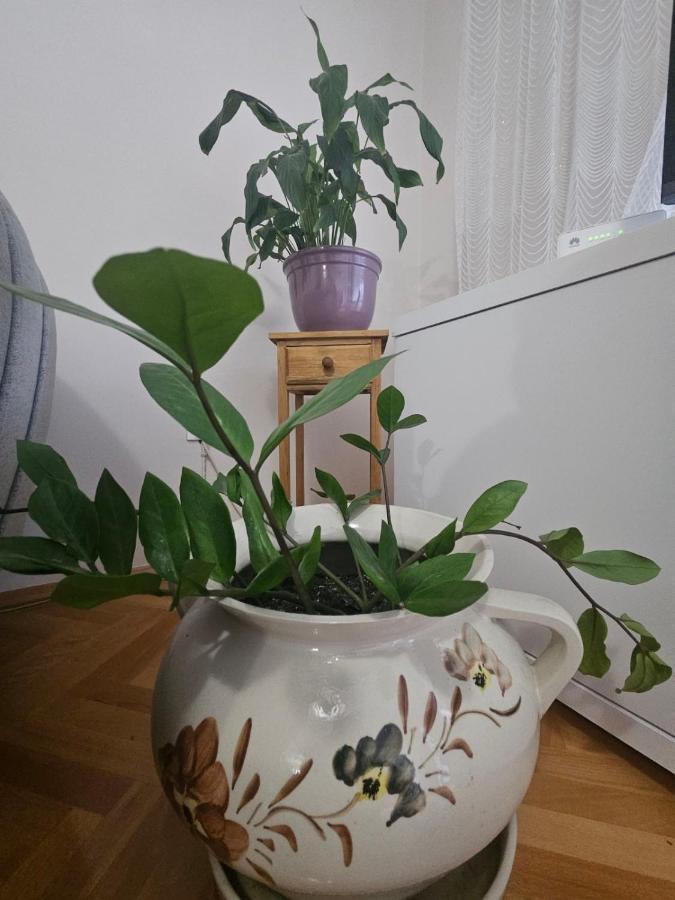 Apartman Zeljko Mostar Esterno foto